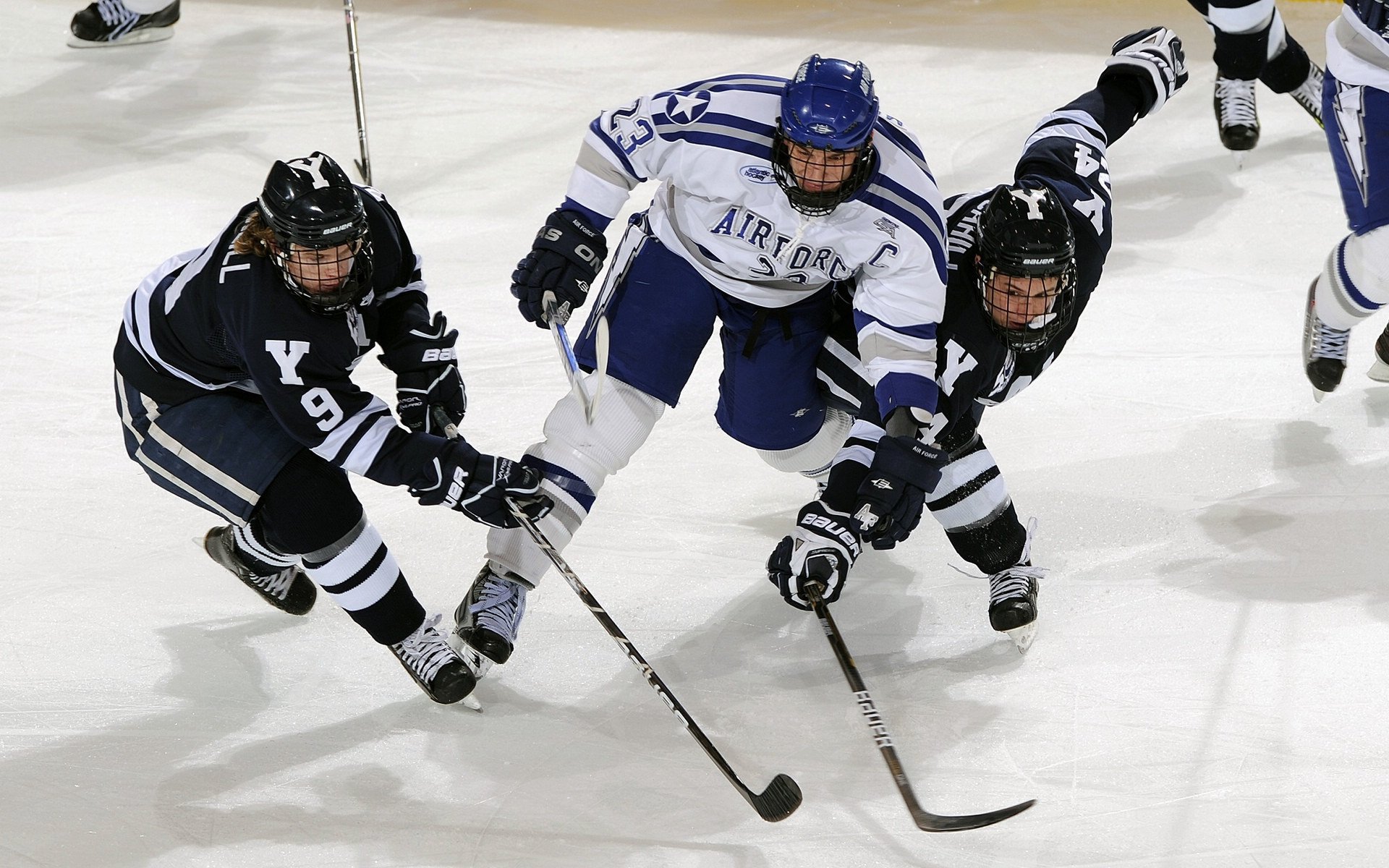 开云官方app入口-狼来了，深圳没了？别笑，这可能是个天大的误会